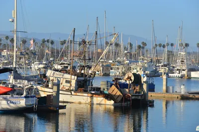 DSC_7236 (Large).JPG